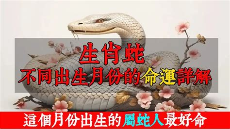 屬蛇風水|十二生肖——屬蛇詳解